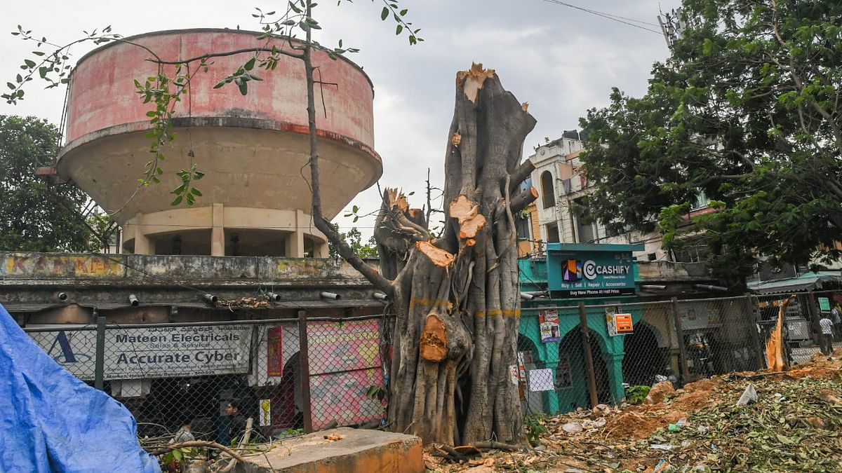 BMRCL wants to axe 127 trees for metro work