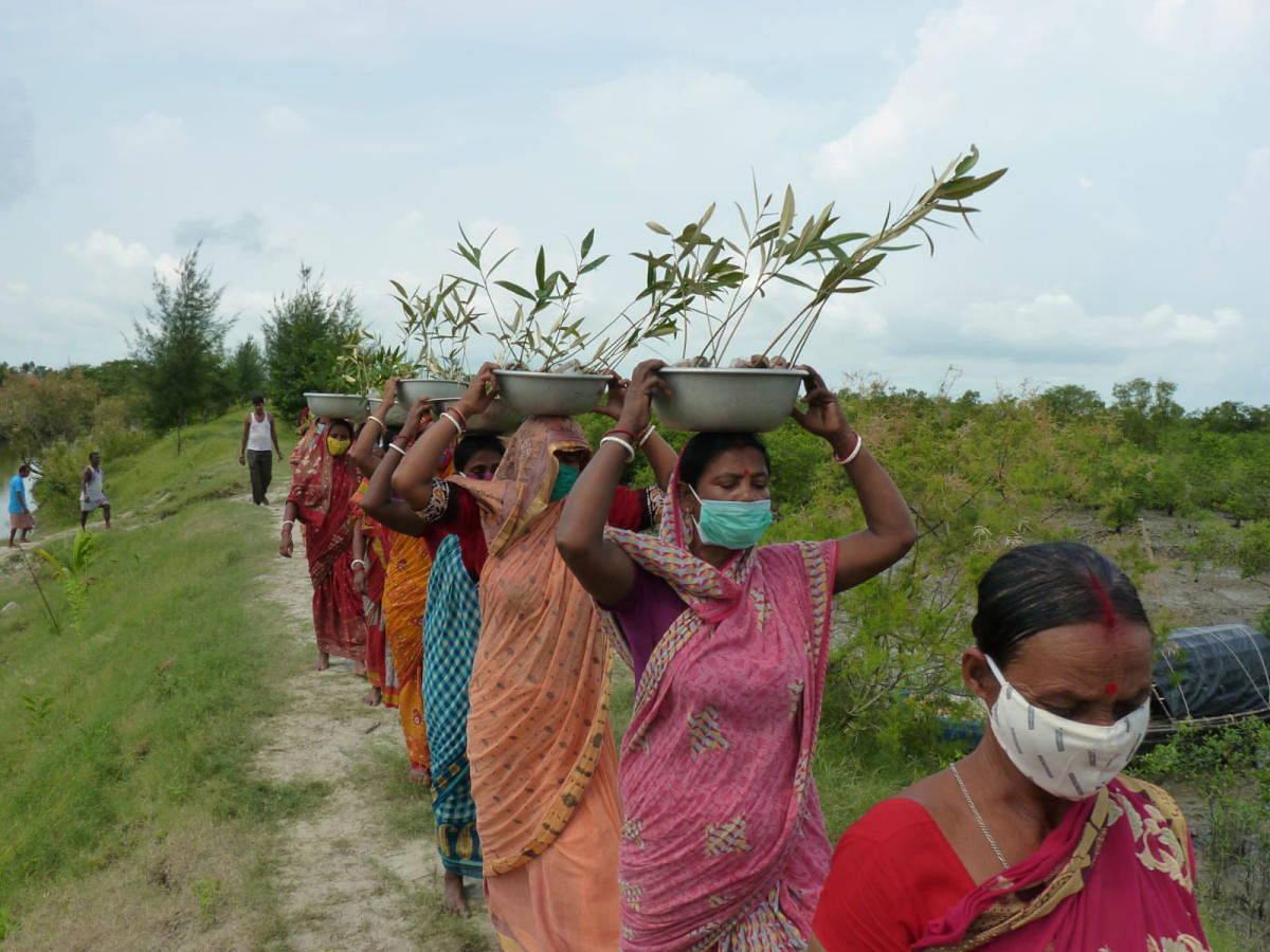 Eco-warriors of Sundarbans