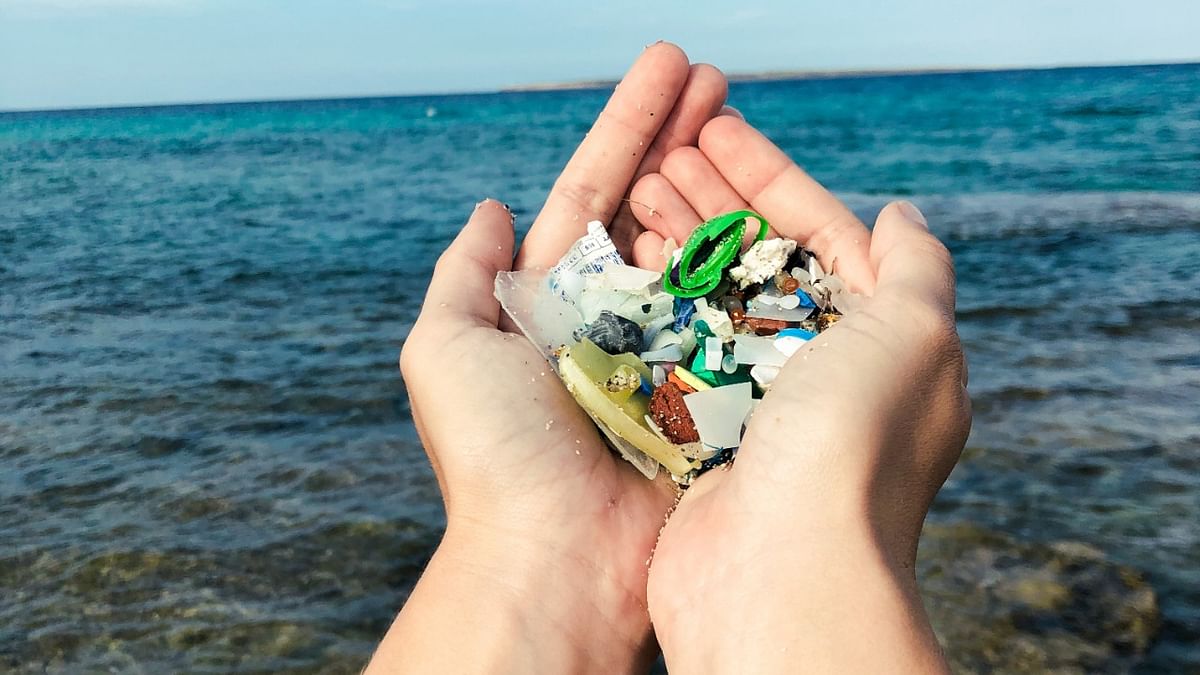 NGT forms committee to study microplastic in environment