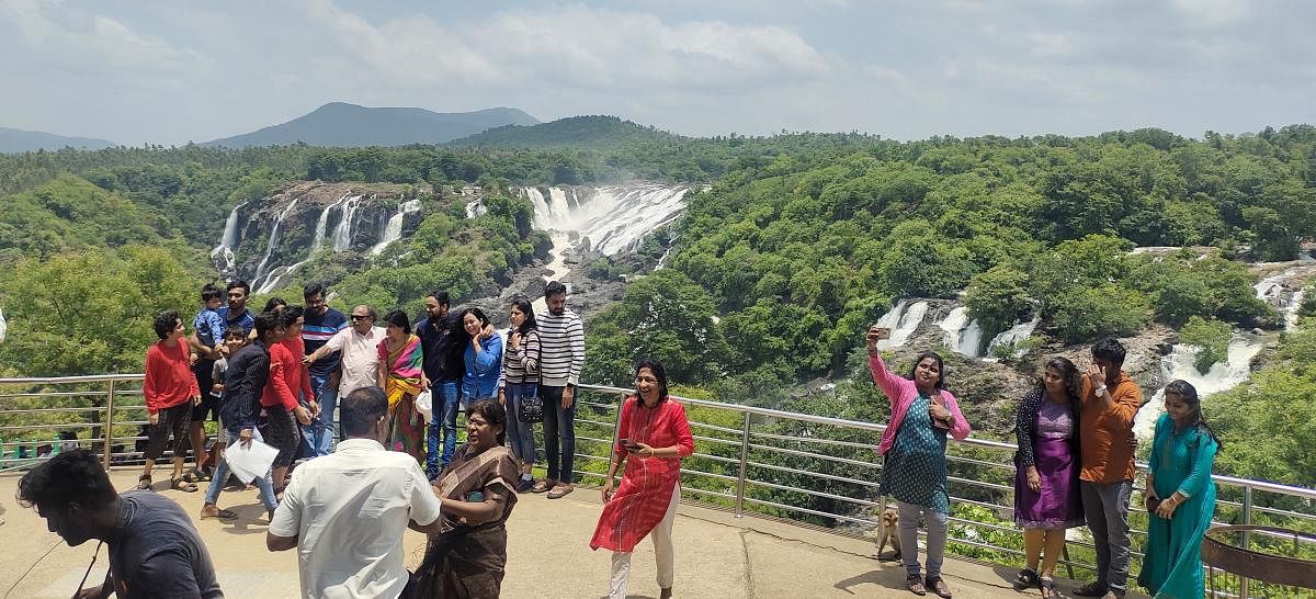 It’s unusual: Bharachukki falls comes alive in May, draws tourists