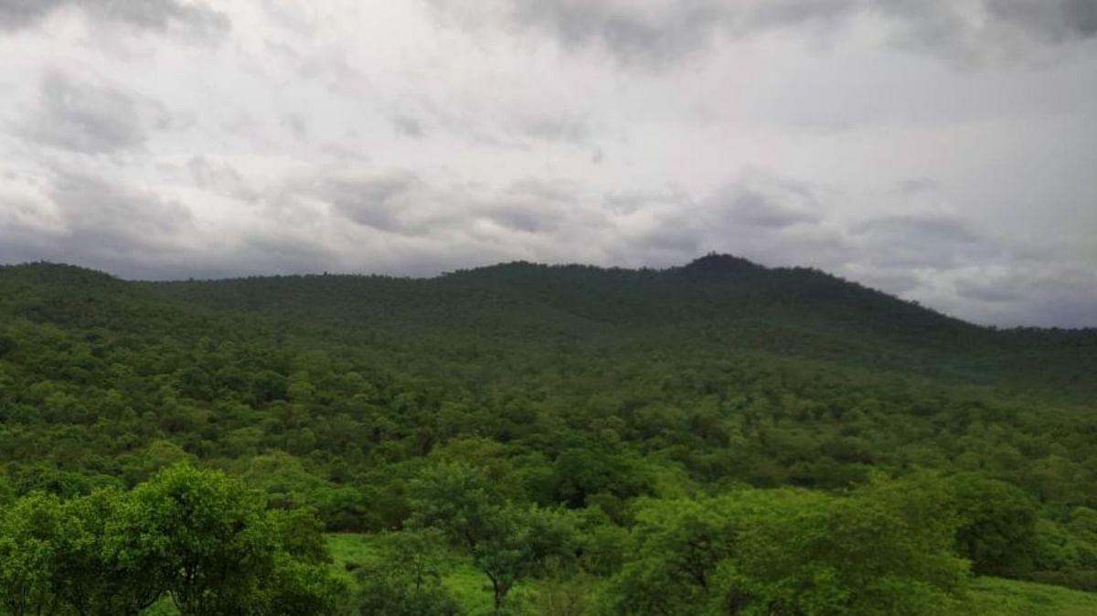 MM Hill tiger reserve: Forest authorities allay fears of local residents