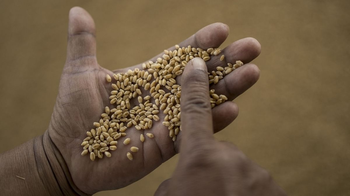 Pay debt or feed people is hungry nations’ impossible choice