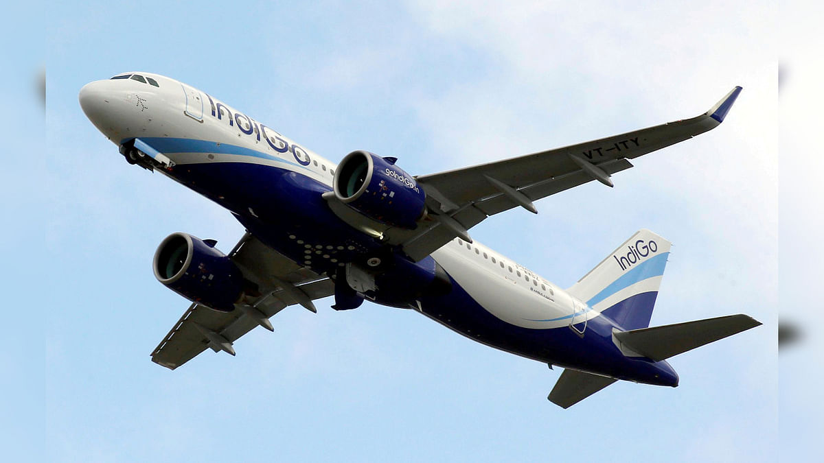 IndiGo to conduct internal study on how to better handle specially abled passengers: CEO