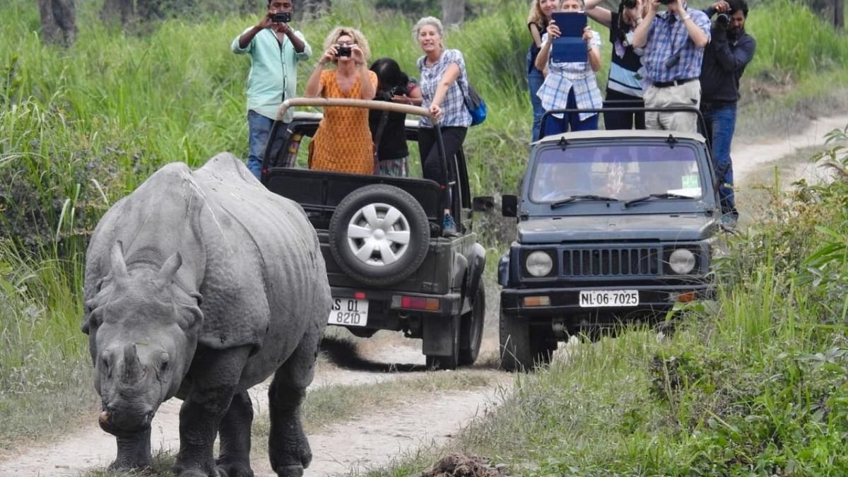 Kaziranga national park receives record footfall of over 2.75 lakh tourists