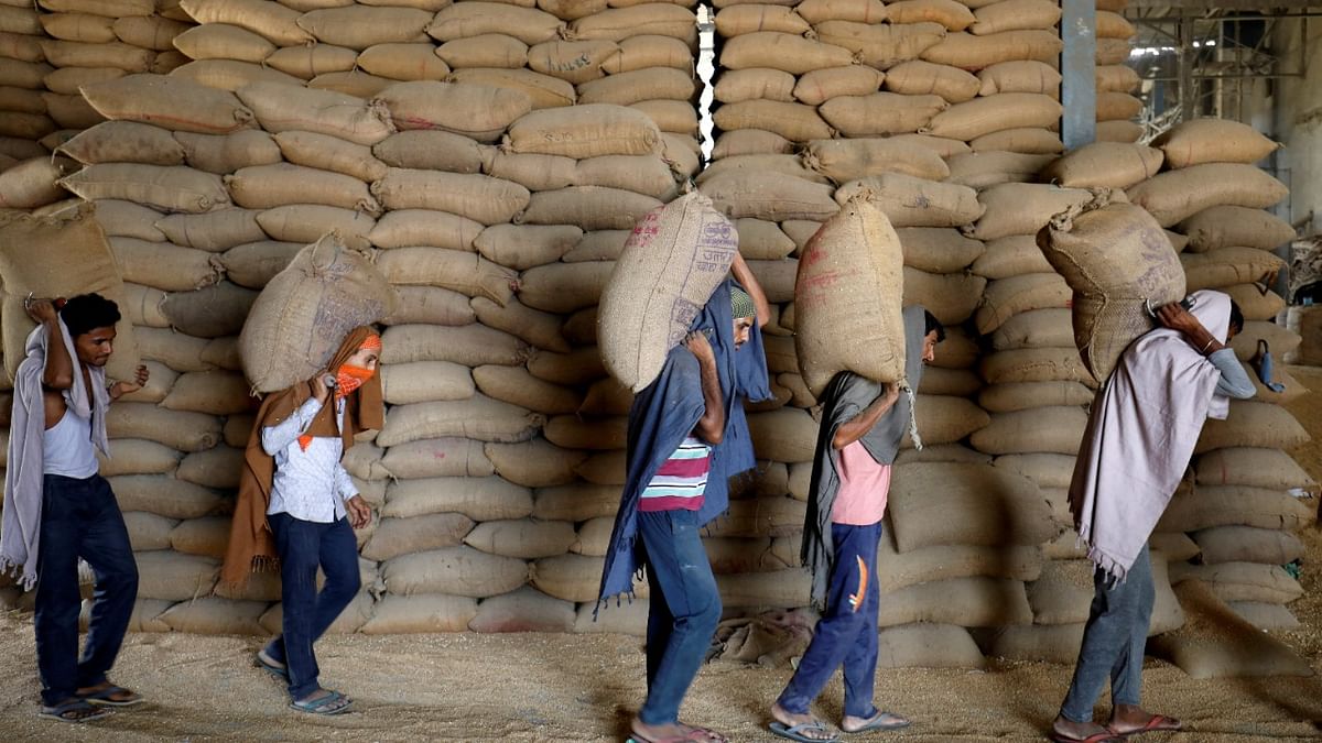 A harsh summer, and a looming Indian wheat crisis