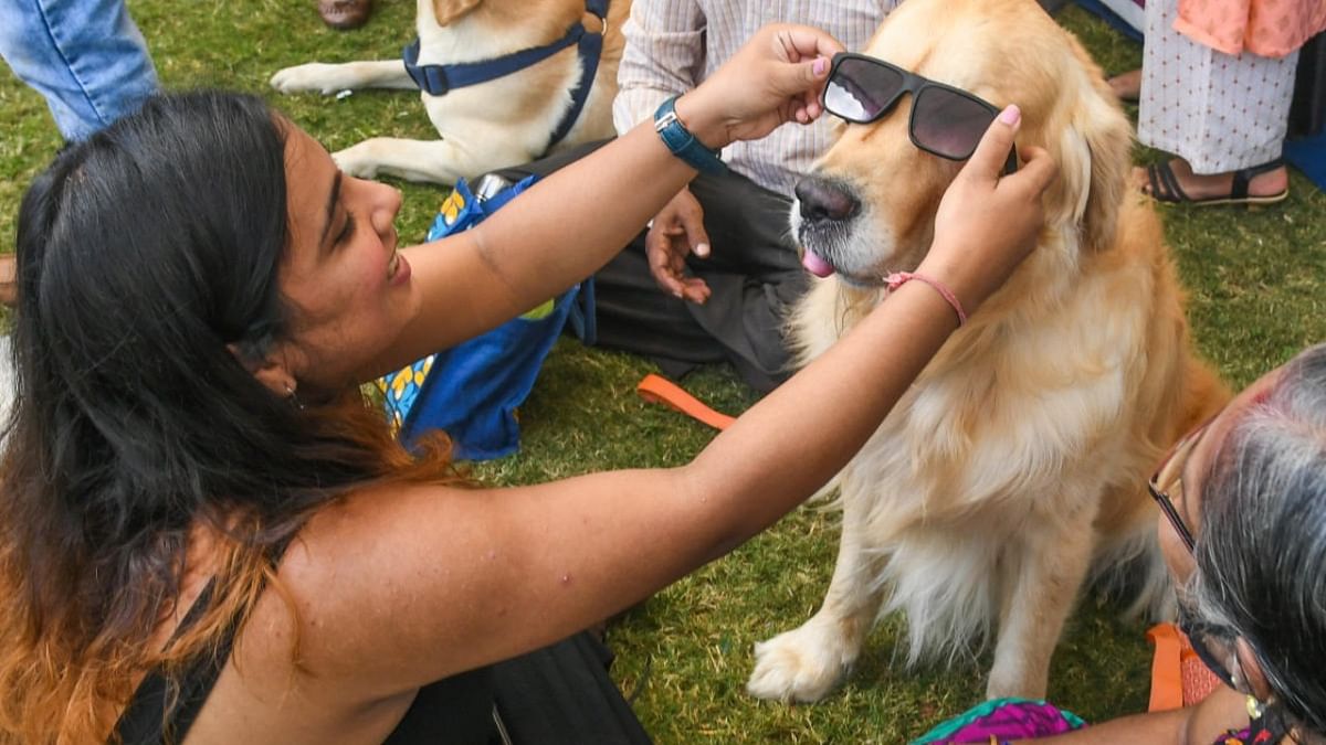 Pets put their best paw forward at mega show in Bengaluru