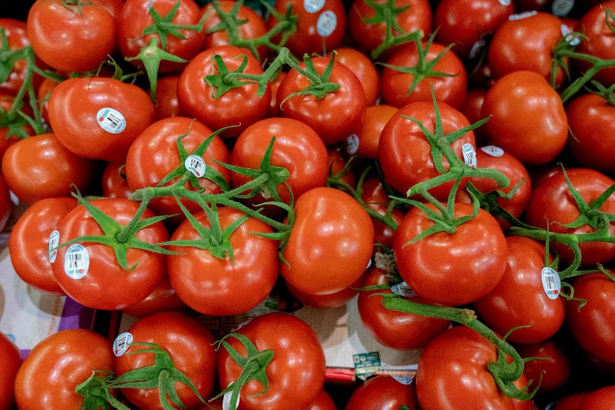 Tomato rates up 44% in Delhi in one month to Rs 46/kg; average price up 27% across major cities