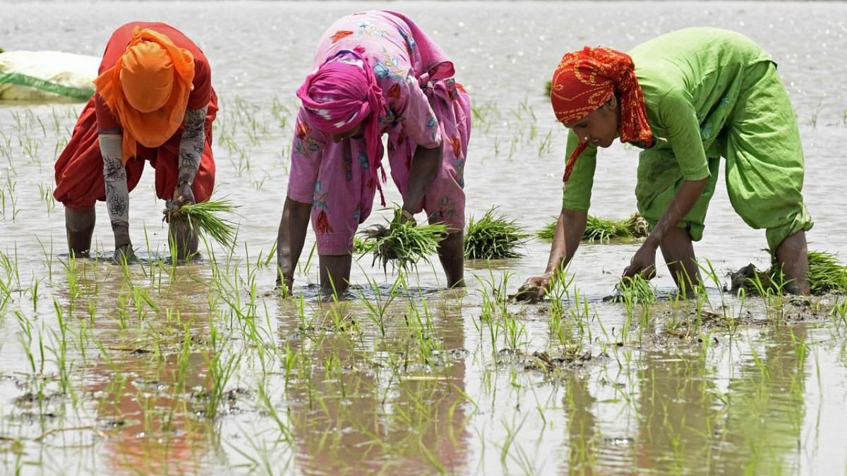 India has storms to weather to secure its food systems