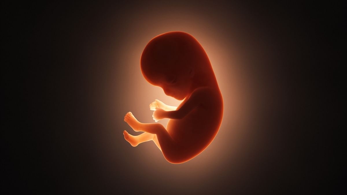 7 aborted foetuses found in drain in Belagavi, probe ordered
