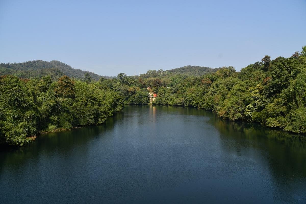 A view of the Kali Tiger Reserve. DH Photo/Deelip Revankar