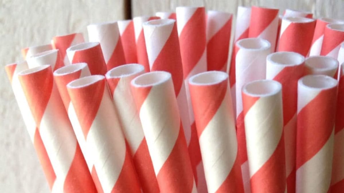 Plastic ban: Companies switch to paper straws