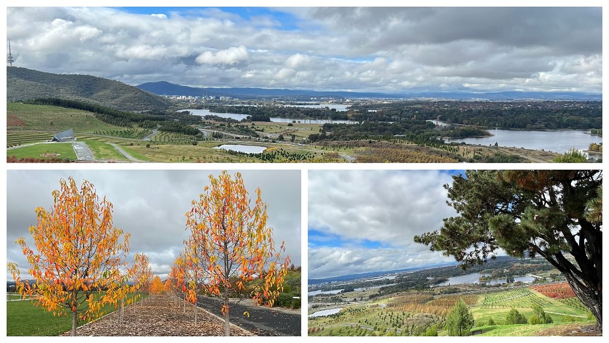 A visit to Canberra's breathtaking National Arboretum