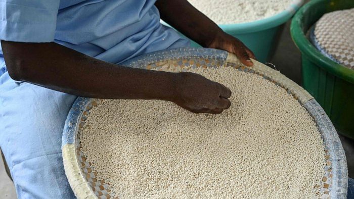 Parliamentary panel seeks more food grain quality control cells