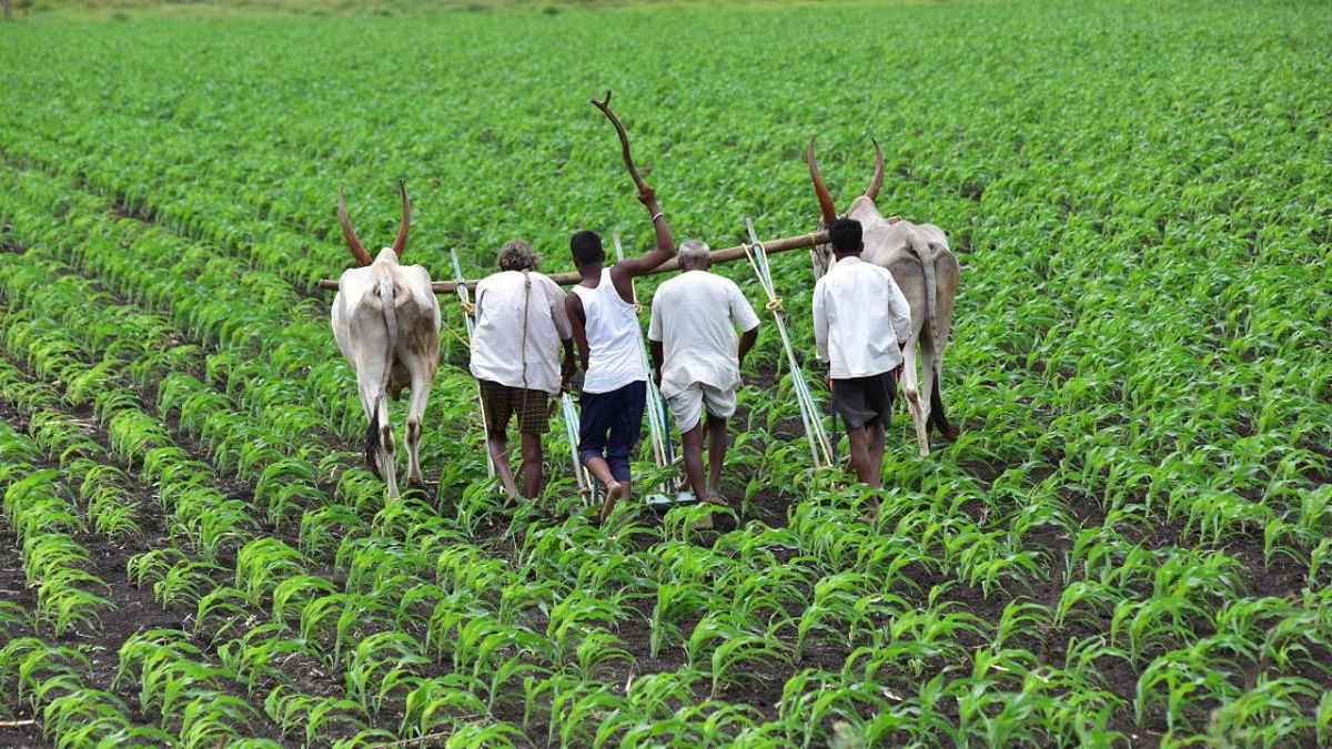 Kannada version of agri-tech app to benefit Karnataka farmers