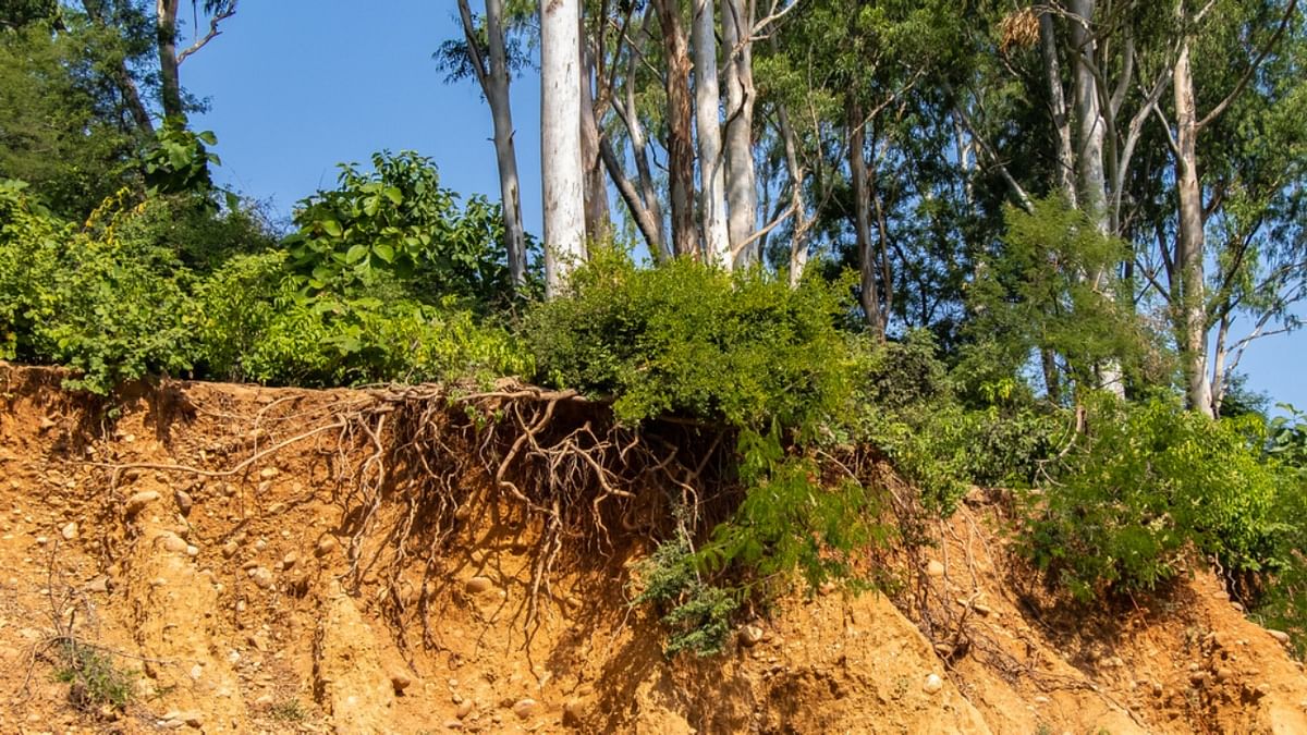 Assam: 24 families wait 30 yrs to rebuild homes after erosion