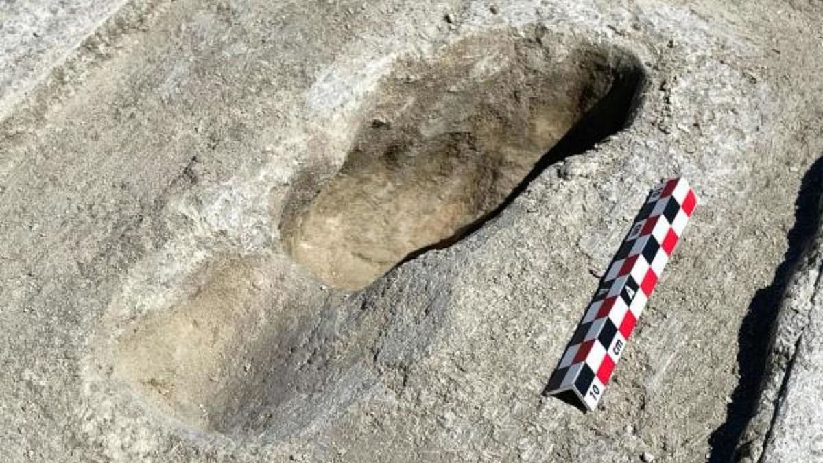 Ice-age footprints shed light on North America's early humans