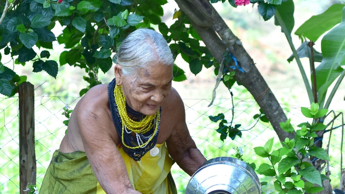 ‘Magic in her hands’: Meet the woman bringing India’s forests back to life