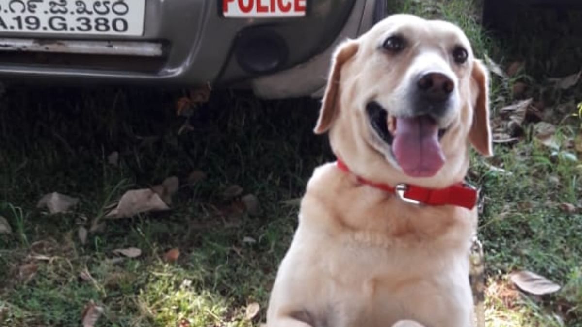 Sniffer dog Geetha passes away