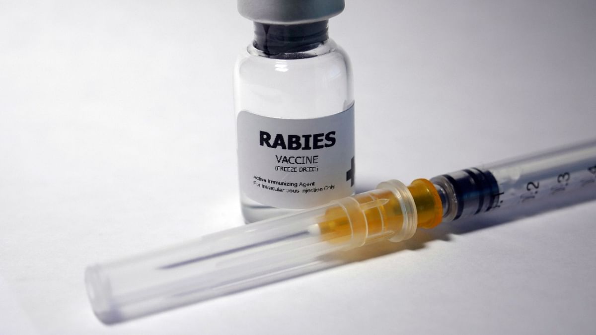 Kerala urges Centre to ensure quality of rabies vaccine