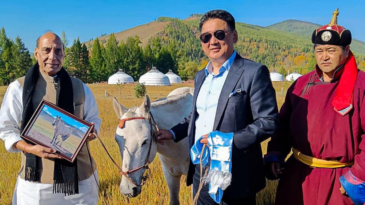 Mongol breed horse 'symbolic gift' to Rajnath Singh, to stay in Mongolia