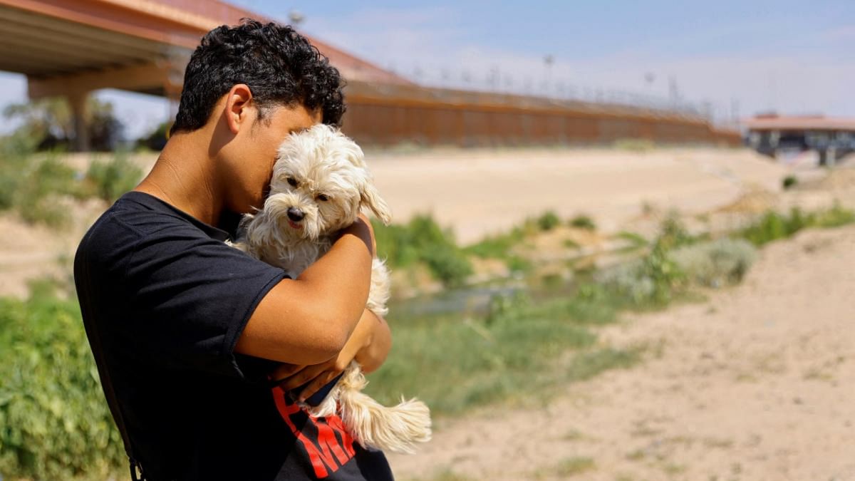 After risky journey, migrant and his dog say goodbye at US border