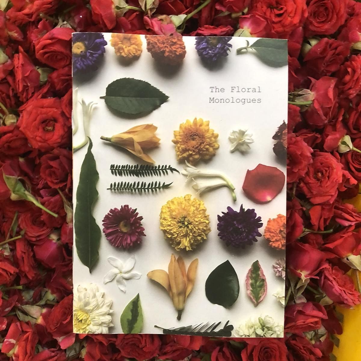 Zine to poetry: Activities for flower lovers this weekend