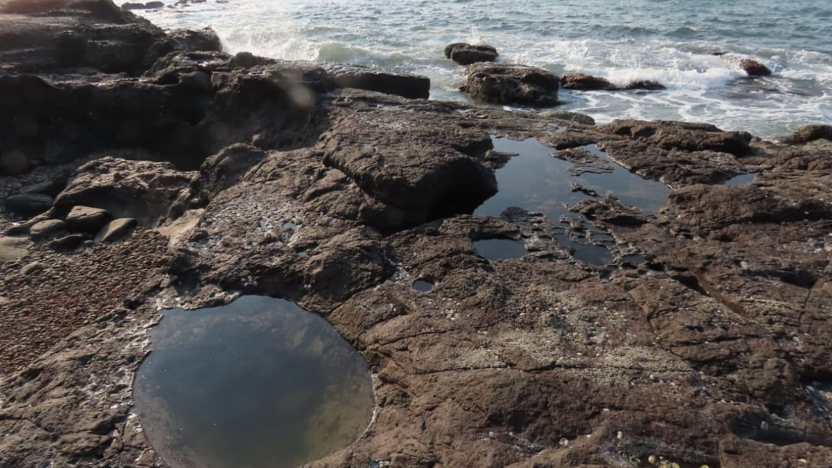 Eight locations in Konkan have potential for ‘rocky tide pool’ ecotourism