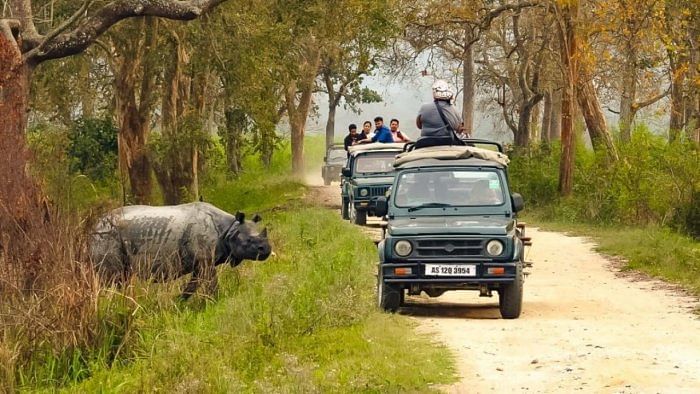 Assam re-opens national parks, sanctuaries with focus on domestic tourists