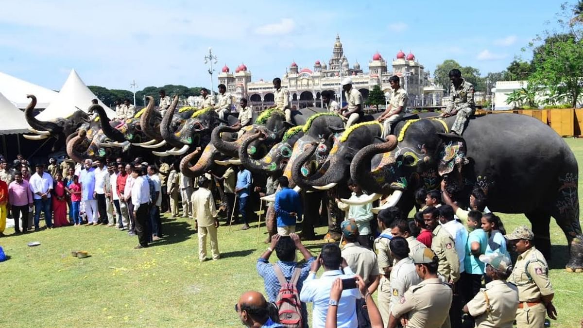 Dasara elephants bid adieu to their respective forest camps