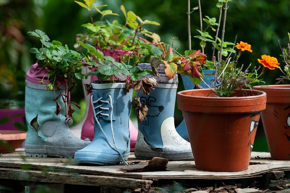 Quick guide to DIY planters