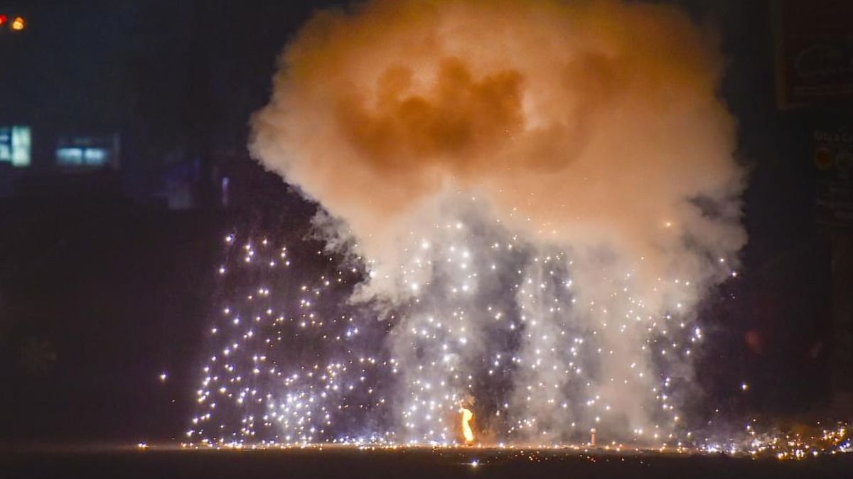 Six months in jail, Rs 200 fine for bursting firecrackers on Diwali in Delhi