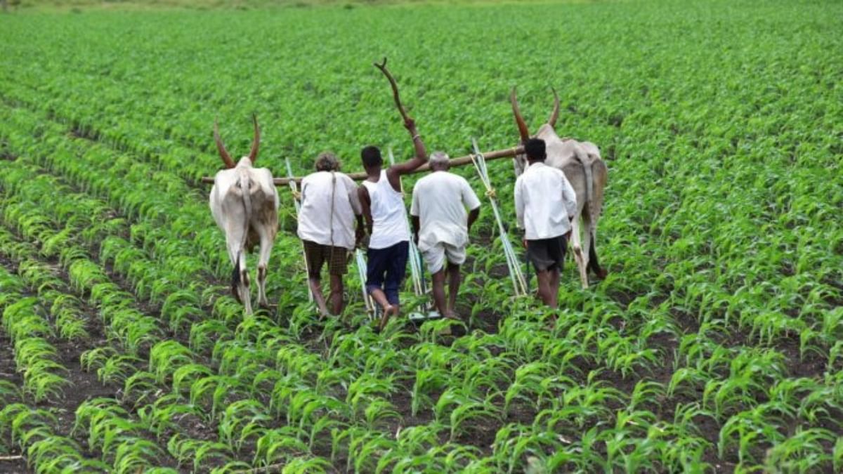 Demand for farmland conversion spikes in Karnataka