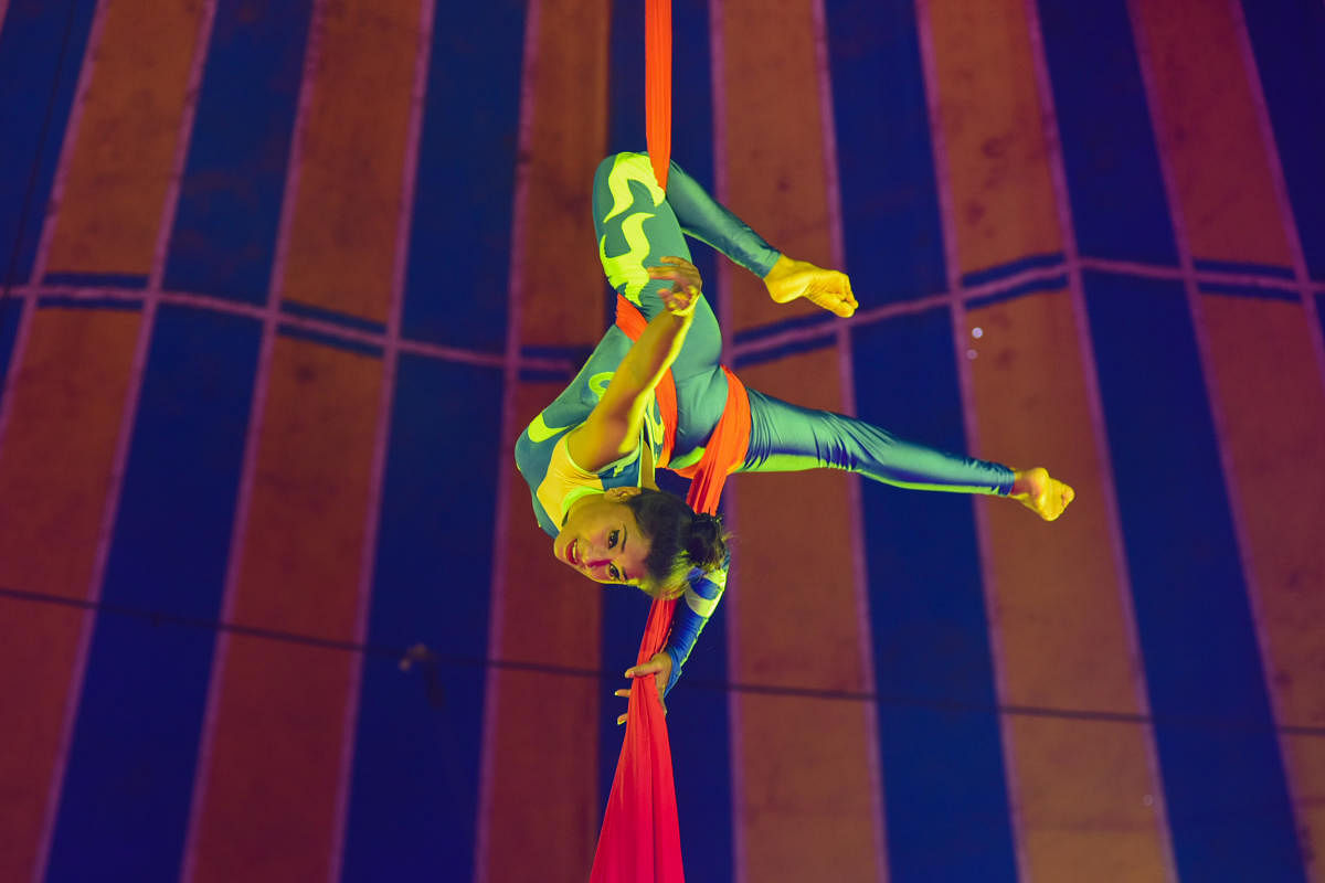 Month-long circus to conclude this weekend