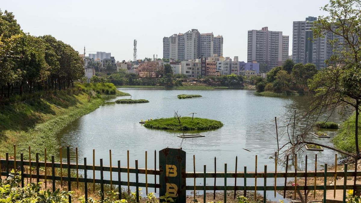 When people stood up for Bengaluru's Puttakere lake