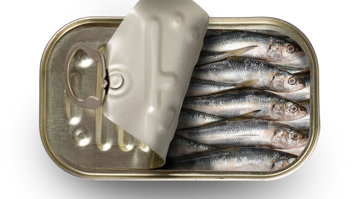 Anchovies and sardines are a climate solution in a can