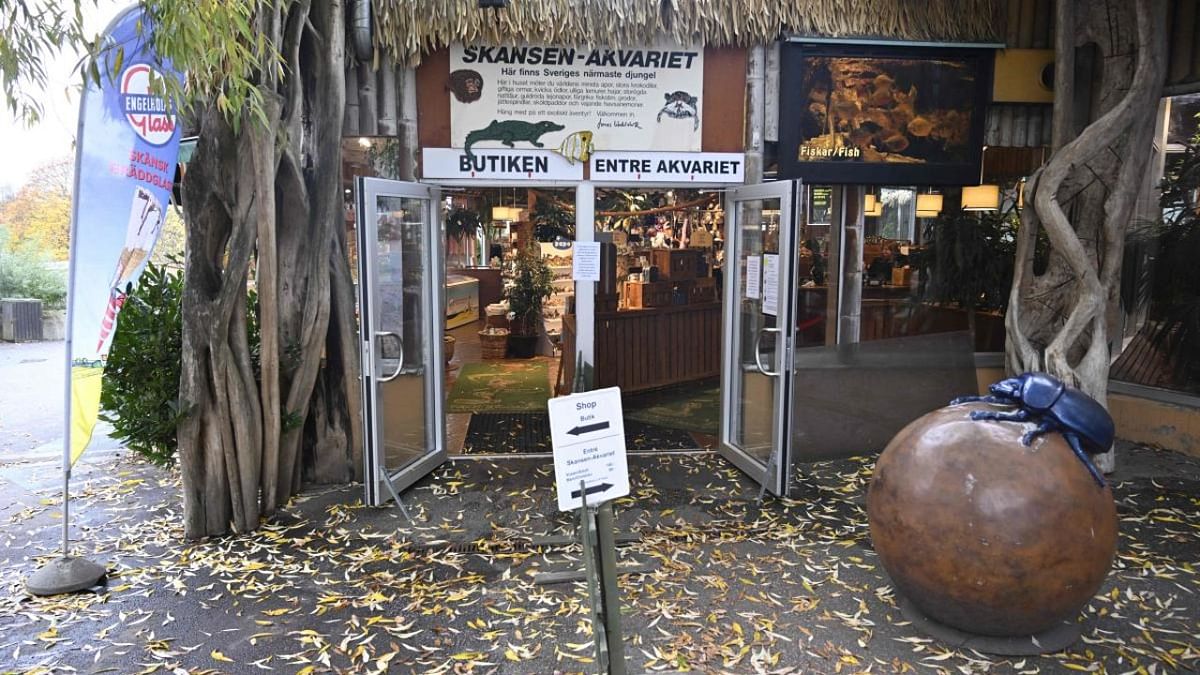 'Houdini' cobra returns to enclosure at Swedish zoo