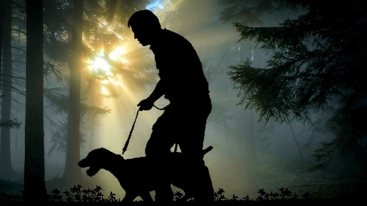 Pet dog helps to find owner who got lost in deep forest in Karnataka's Shivamogga