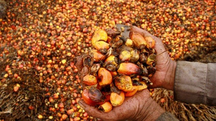 India raises base import price of gold, palm oil