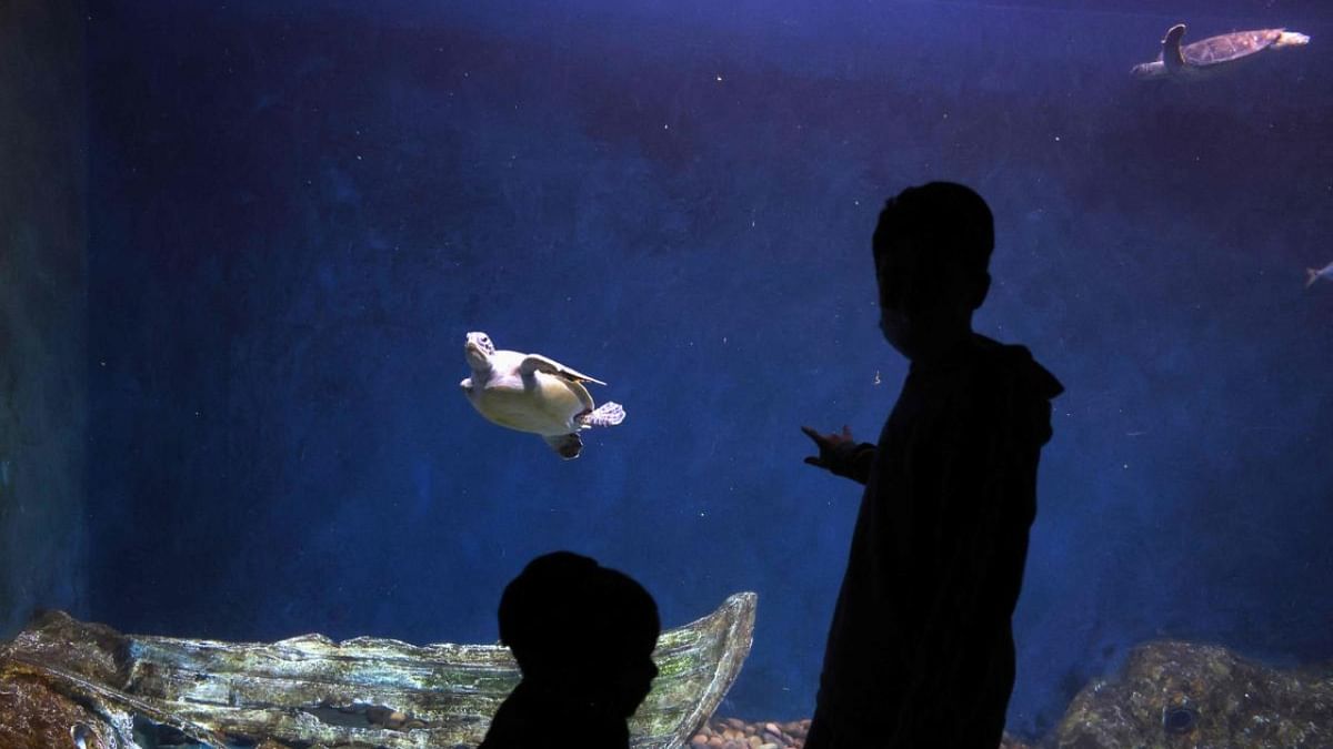 Maharashtra government set the ball rolling for world class aquarium project