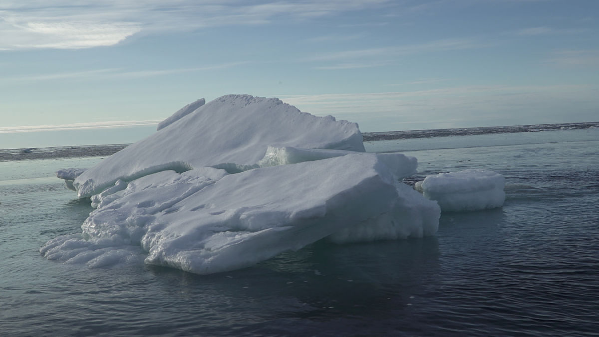 Pandoravirus: the melting Arctic is releasing ancient germs – how worried should we be?