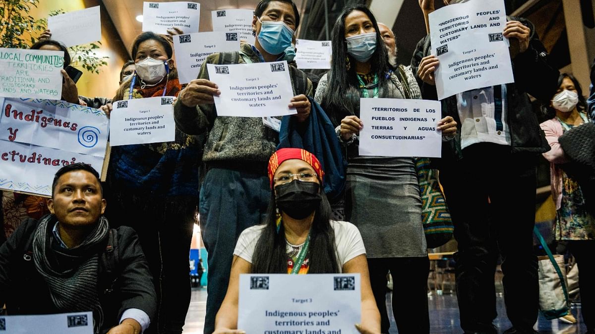 Activists warn a toothless UN nature pact will fail