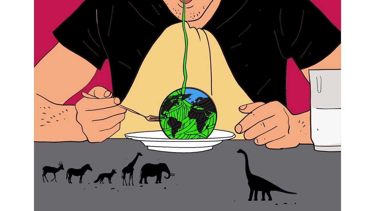 Why do we keep destroying homes of world’s creatures? Dinner
