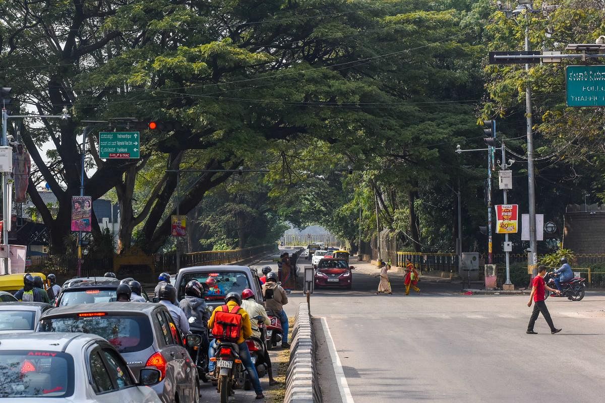 Sankey Road widening, flyover to claim 40 trees