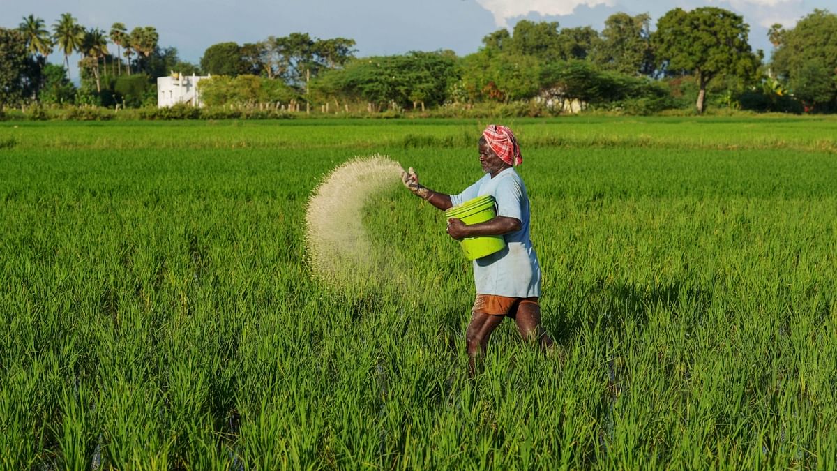 Centre to cut food, fertiliser subsidy by 26% to Rs 3.7 lakh crore this year