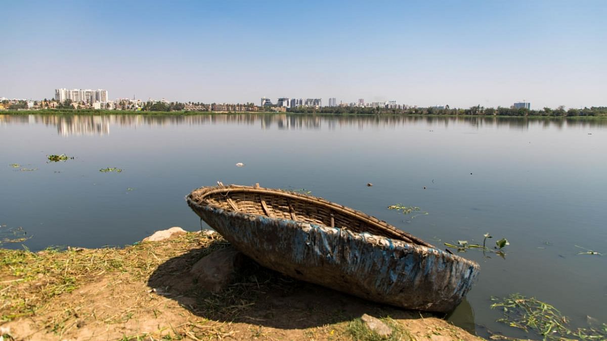 SC restores Bengaluru's Bellandur, Varthur lakes' pollution case to NGT
