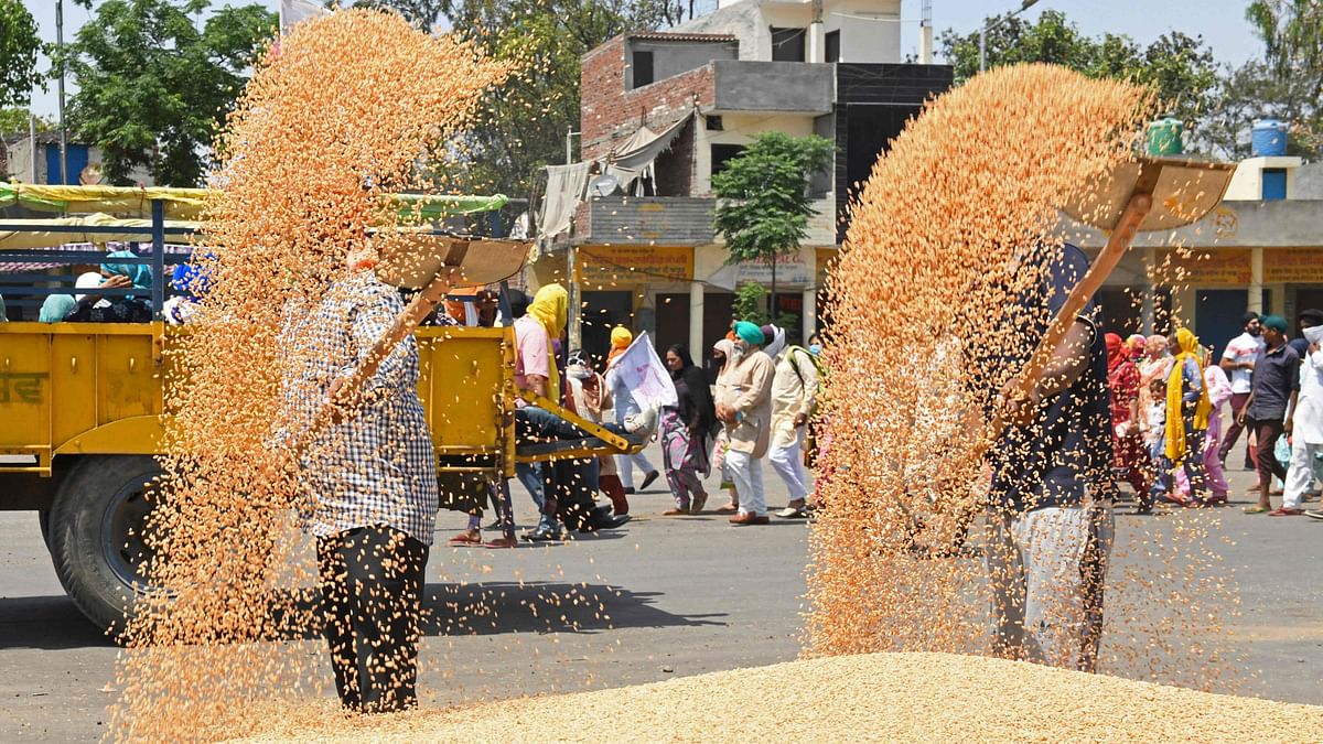 Free food distribution scheme moderated income inequality in many states: Report