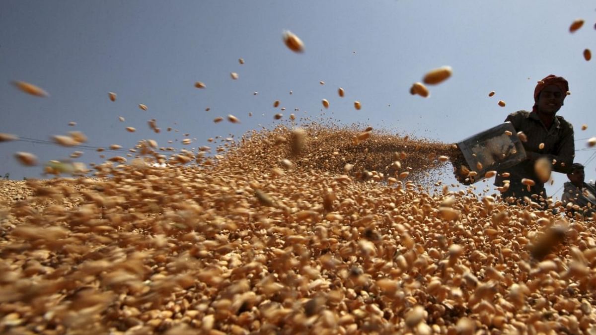 Balochistan runs out of wheat, sends SOS to Centre, other provinces