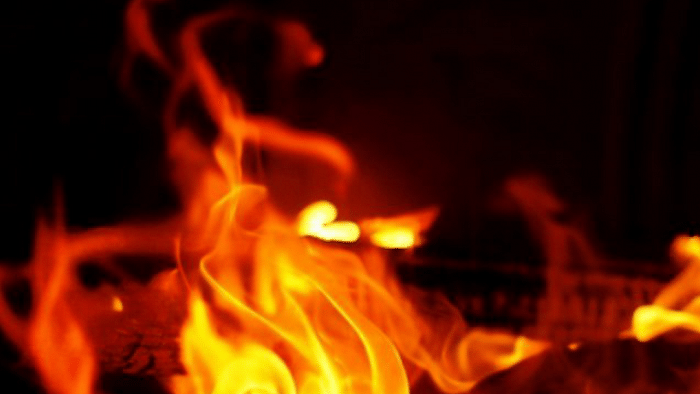 Bengaluru: Fire breaks out at Gandhi Bazaar store, doused after 6 hours