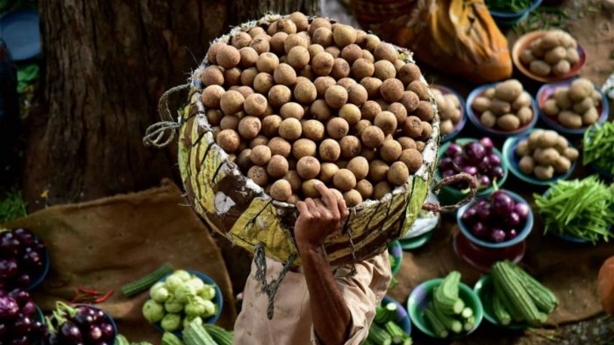 WPI inflation cools to 22-month low of 4.95% in December on softening food prices