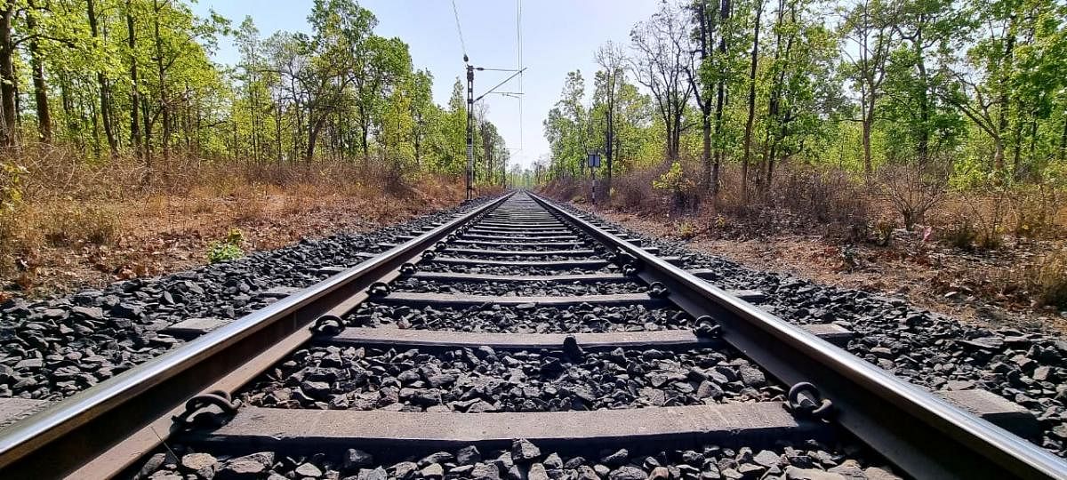 Bengaluru may get 33-km new rail line from Hejjala to Heelalige